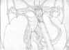 dragonenvol.jpg (34083 octets)